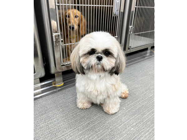 生徒が撮影したモデル犬♪～PART②～